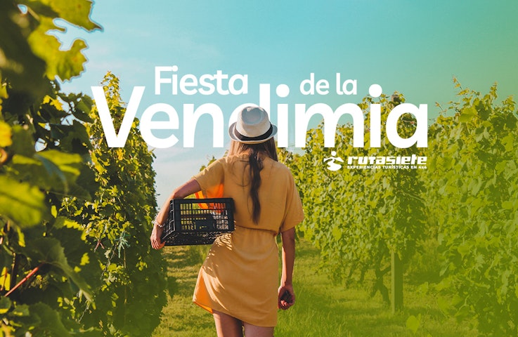 Imagen sobre 4x4 experience in the vineyards of Jerez in September - Jerez Grape Harvest Festival
