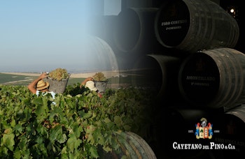 4x4 route through the vineyards of the Jerez area and winery - Rutasiete