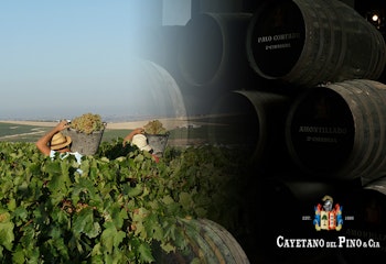 4x4 route through the vineyards of the Jerez area and winery - Rutasiete