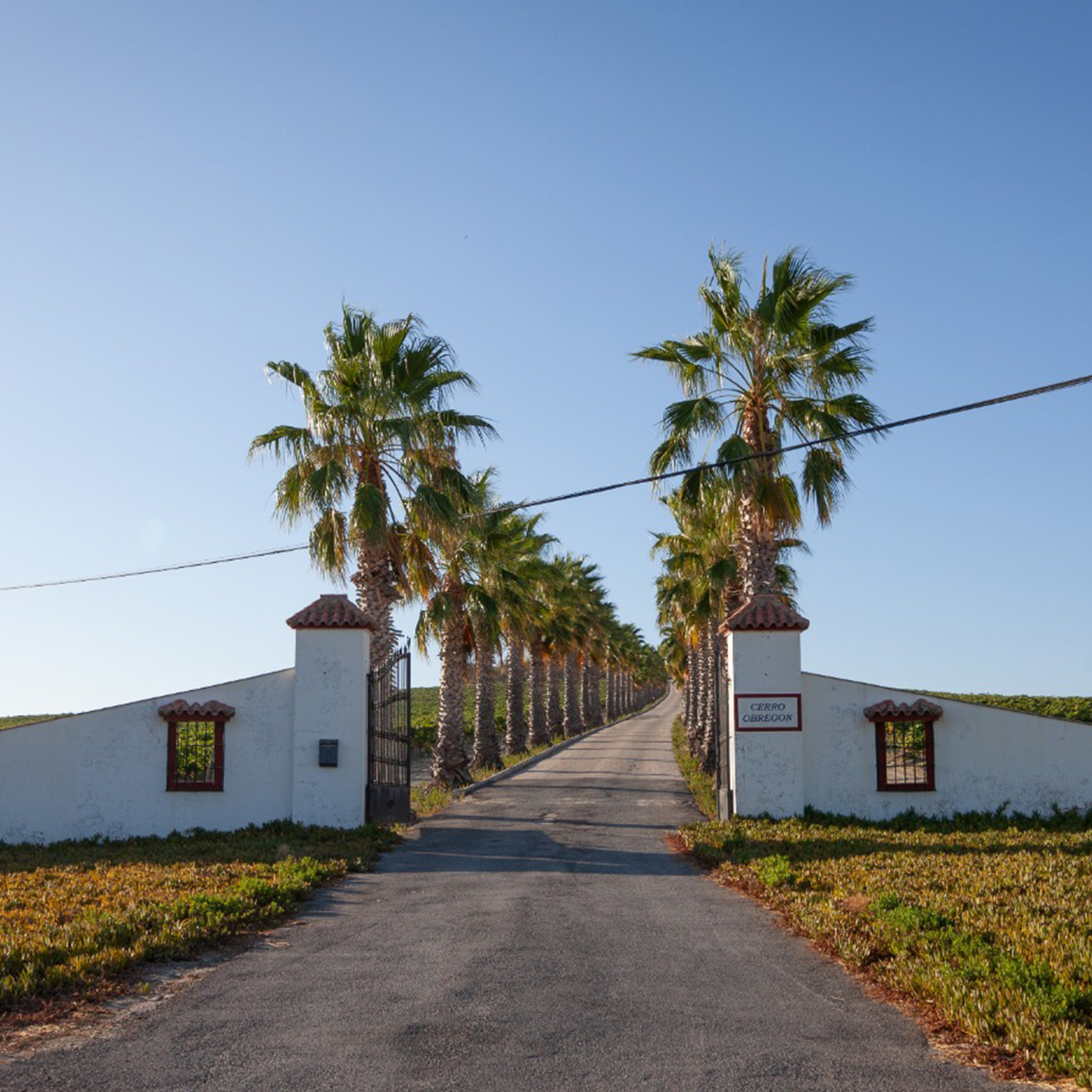 4x4 route through the vineyards of the Jerez area and winery 2 - Rutasiete