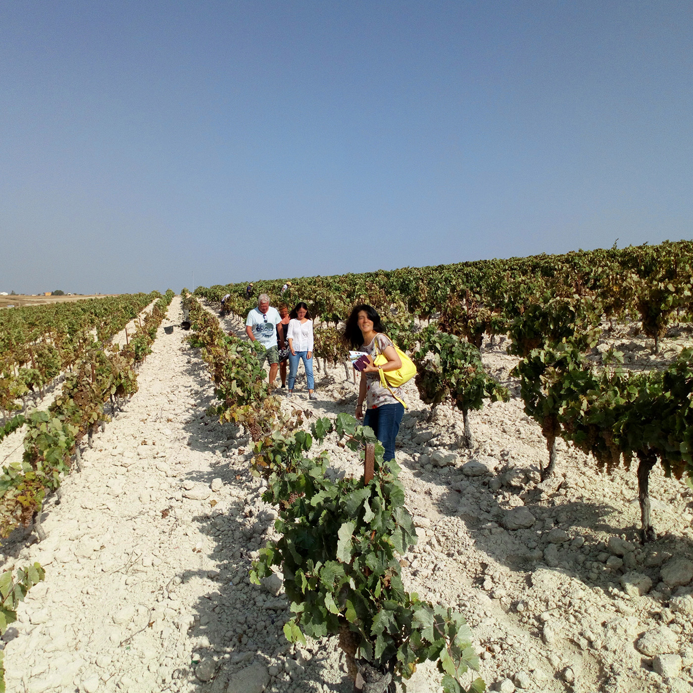 4x4 route through the vineyards of the Jerez area 5 - Rutasiete