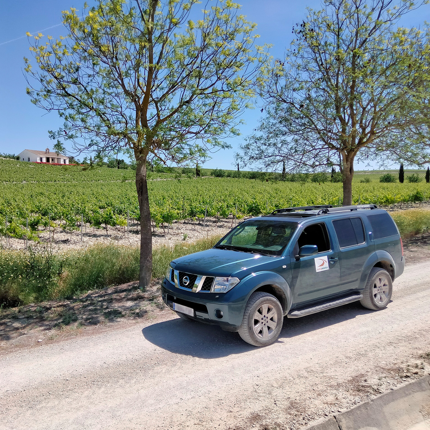 4x4 route through the vineyards of the Jerez area 6 - Rutasiete